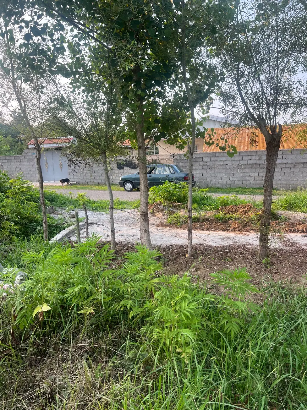 تصویر املاک 96791