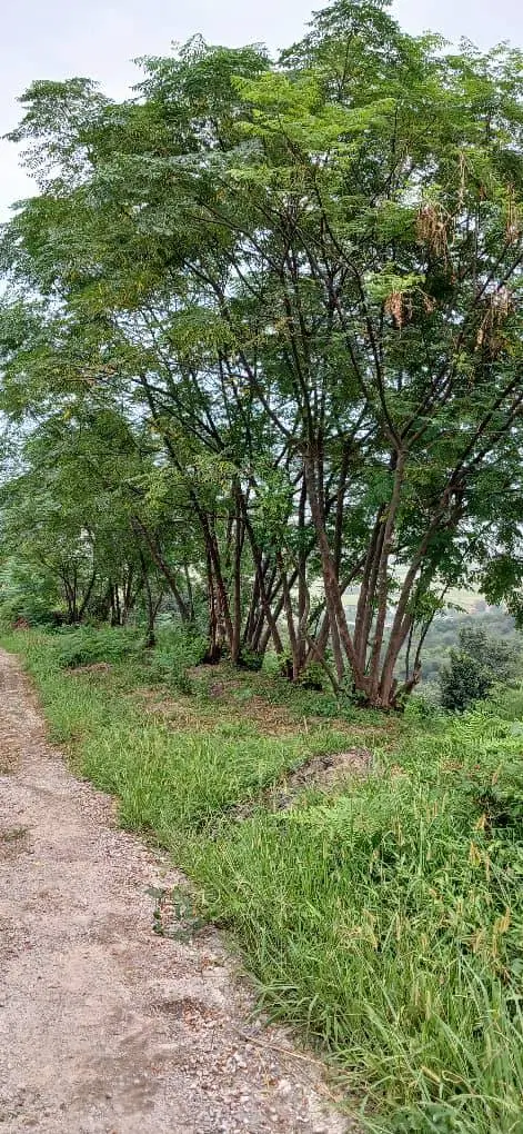 تصویر املاک 107822