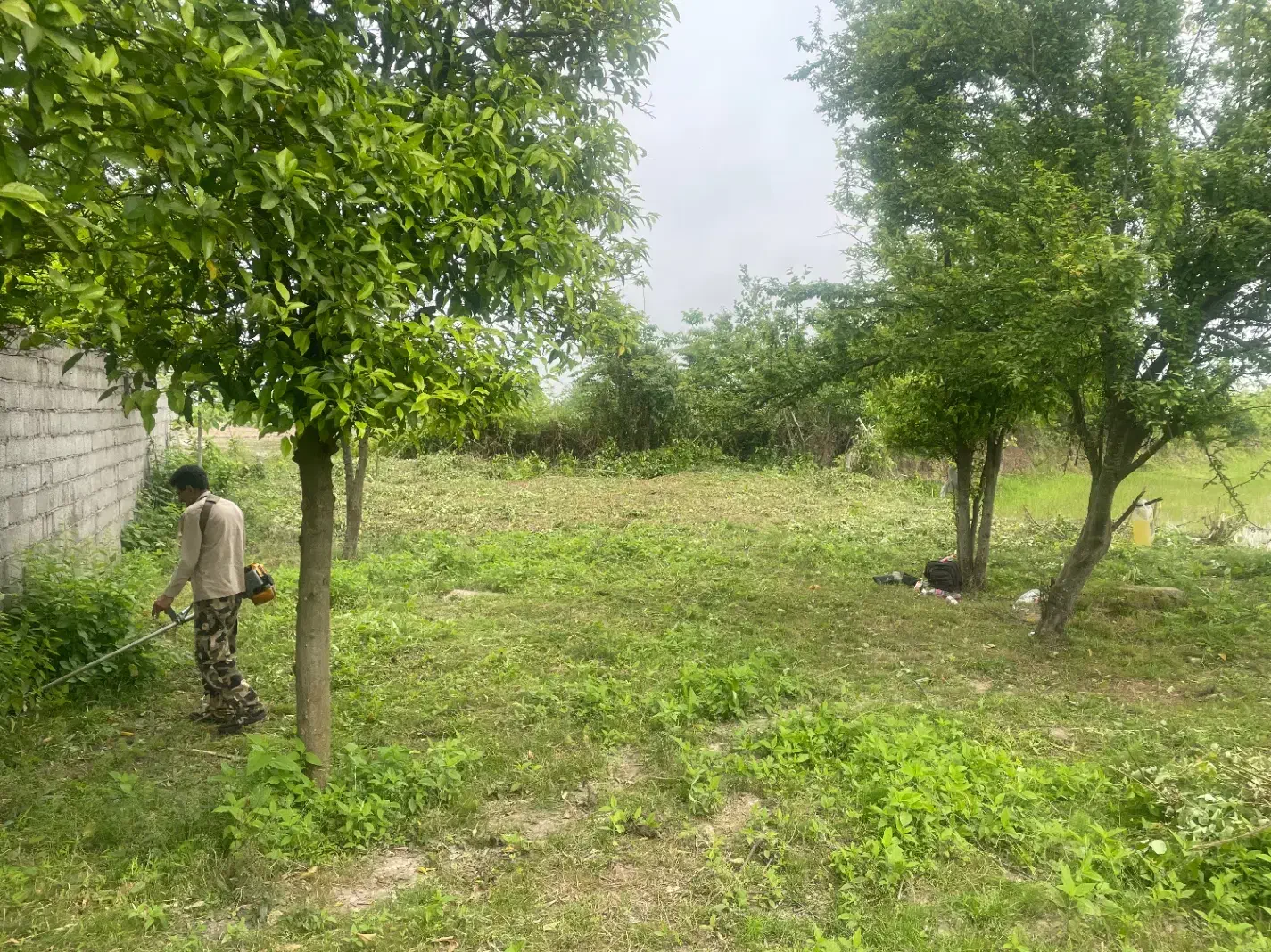 تصویر املاک 5539