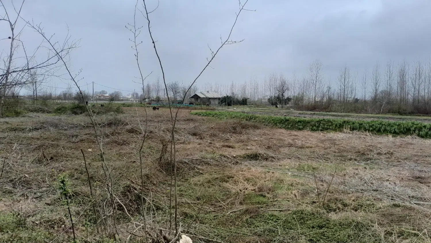 تصویر املاک 43291