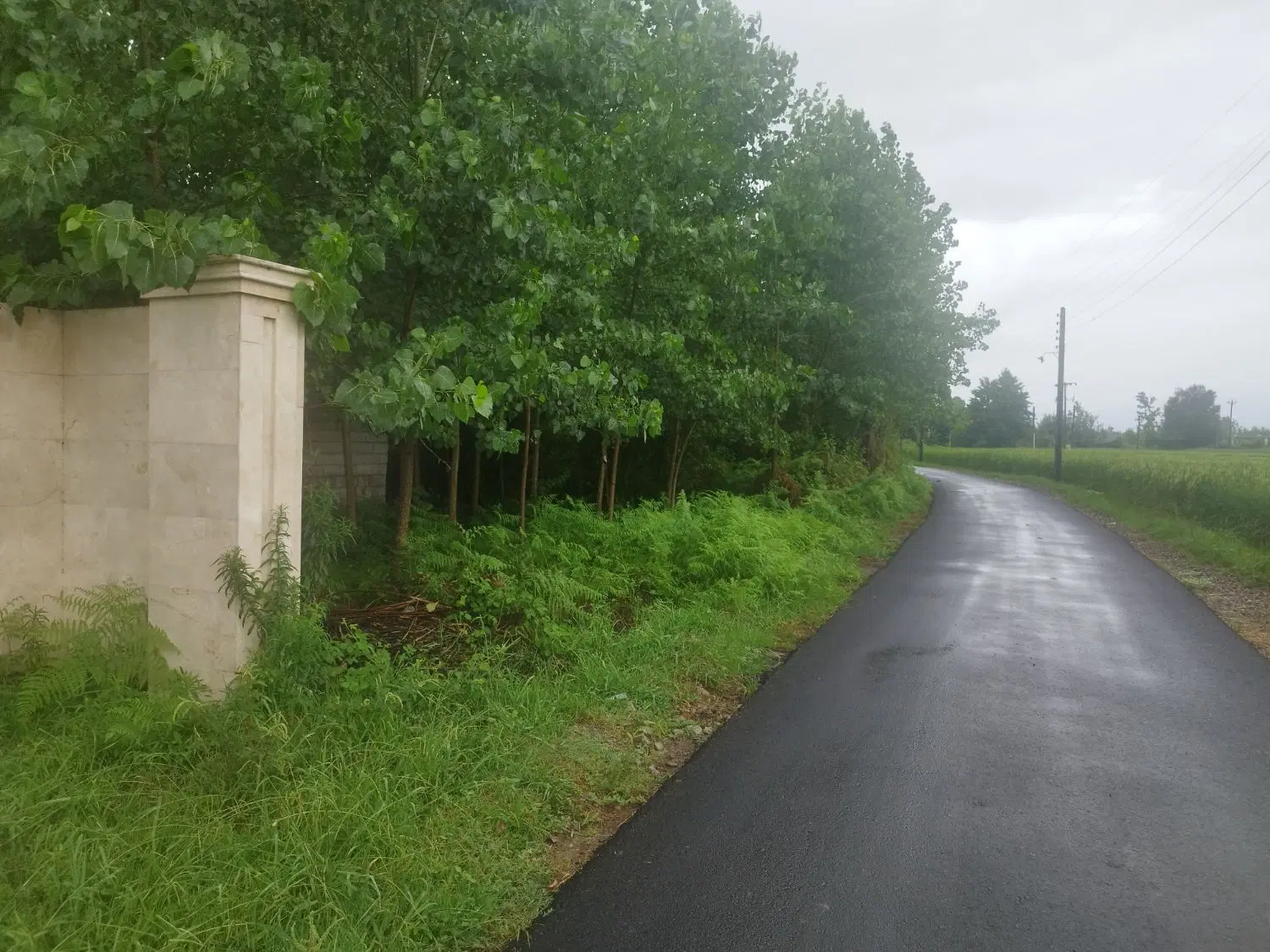 تصویر املاک 134079