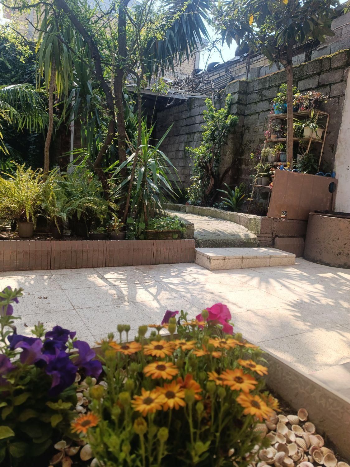 تصویر املاک 66448