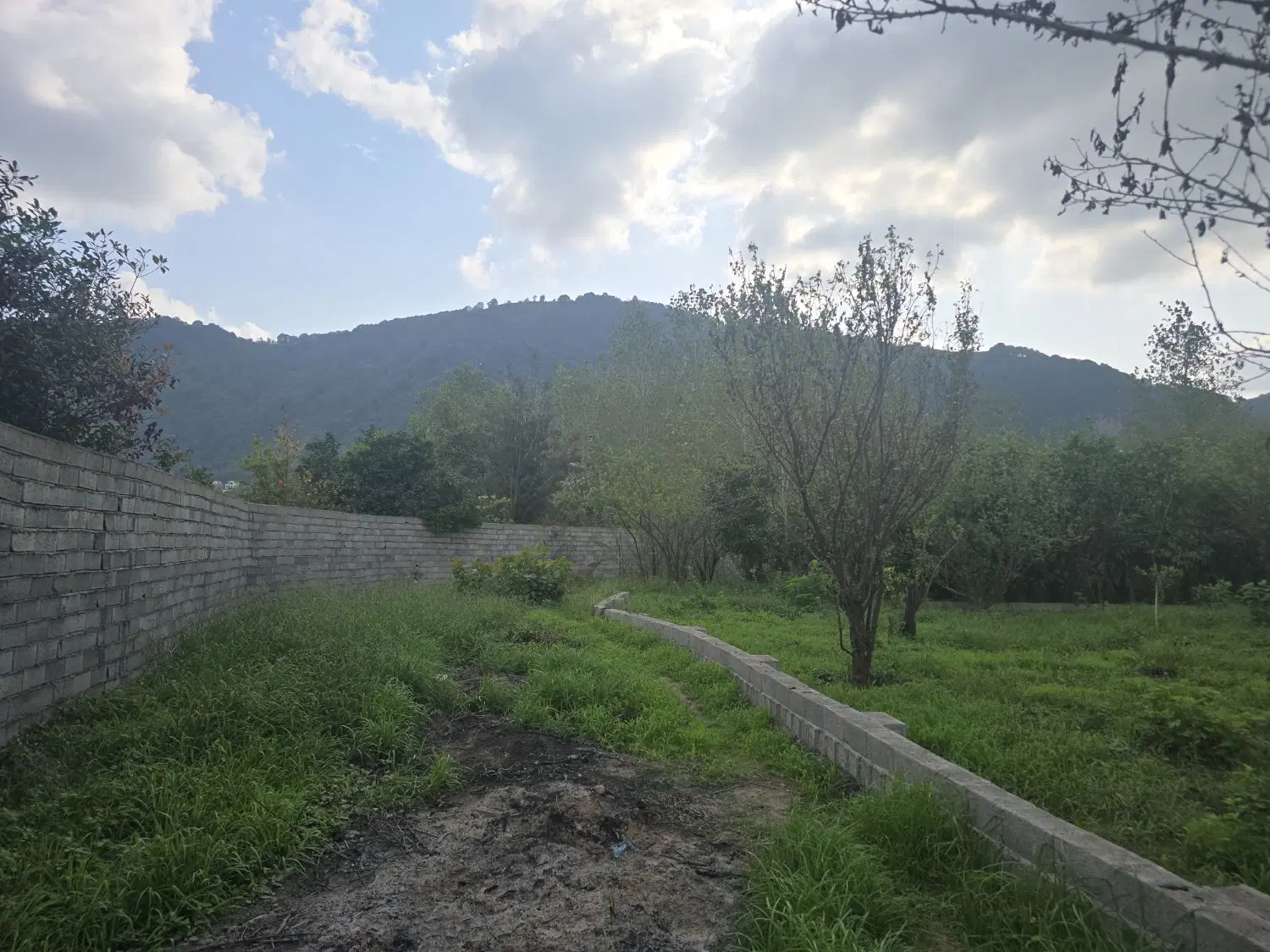 تصویر املاک 133852