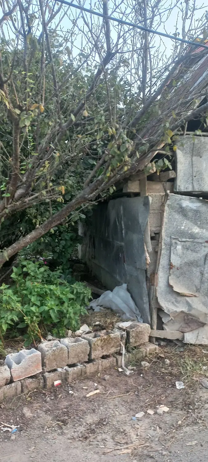 تصویر املاک 116987