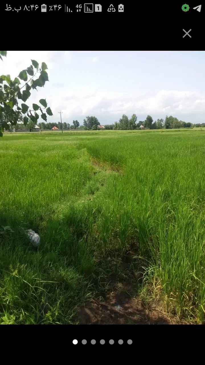تصویر املاک 67437