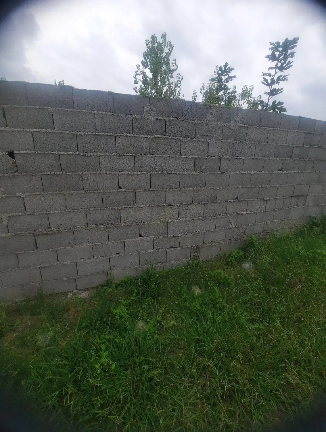 تصویر املاک 124128