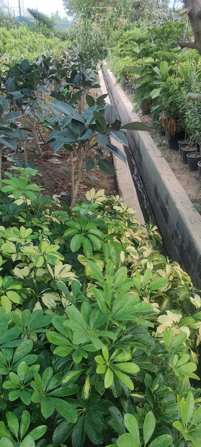 تصویر املاک 116642