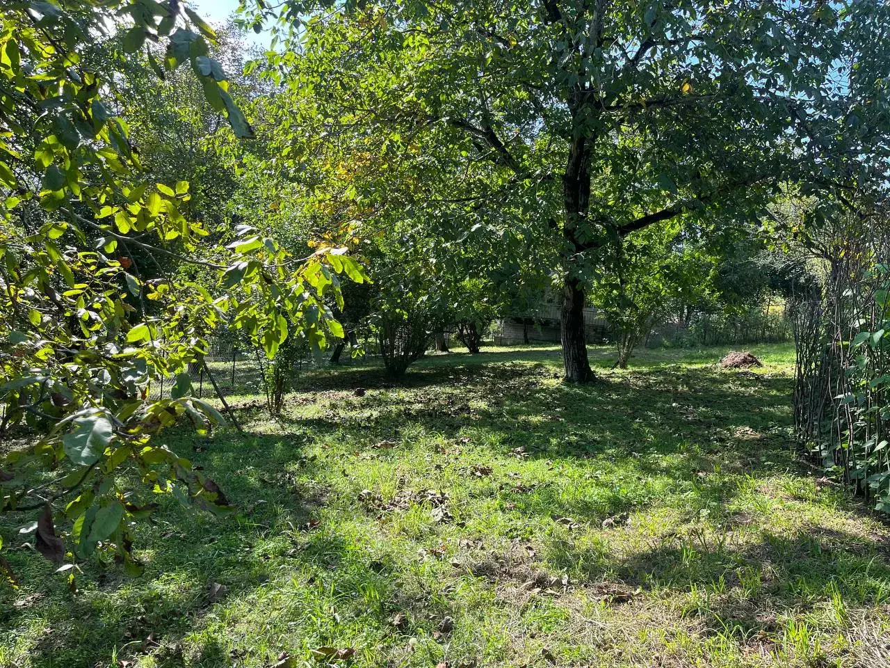 تصویر املاک 4878