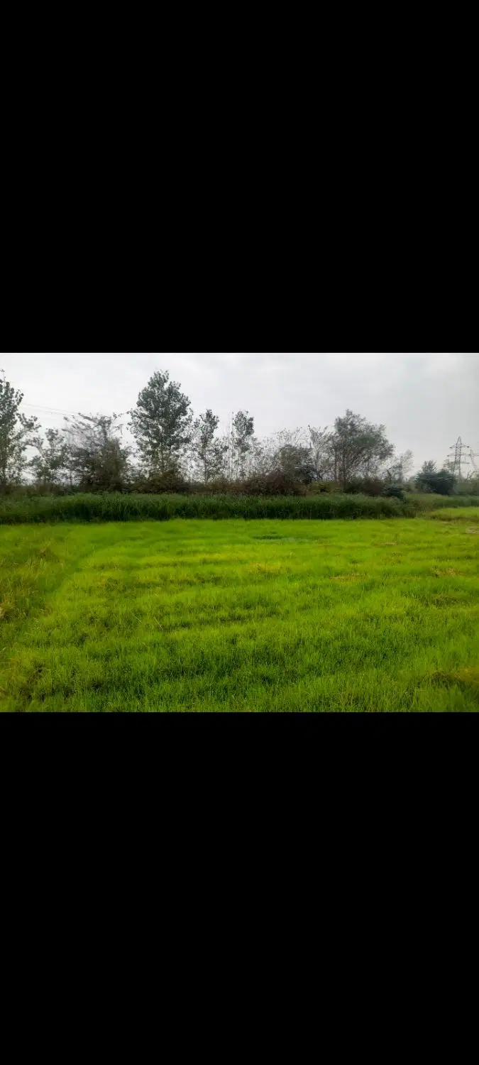 تصویر املاک 135780