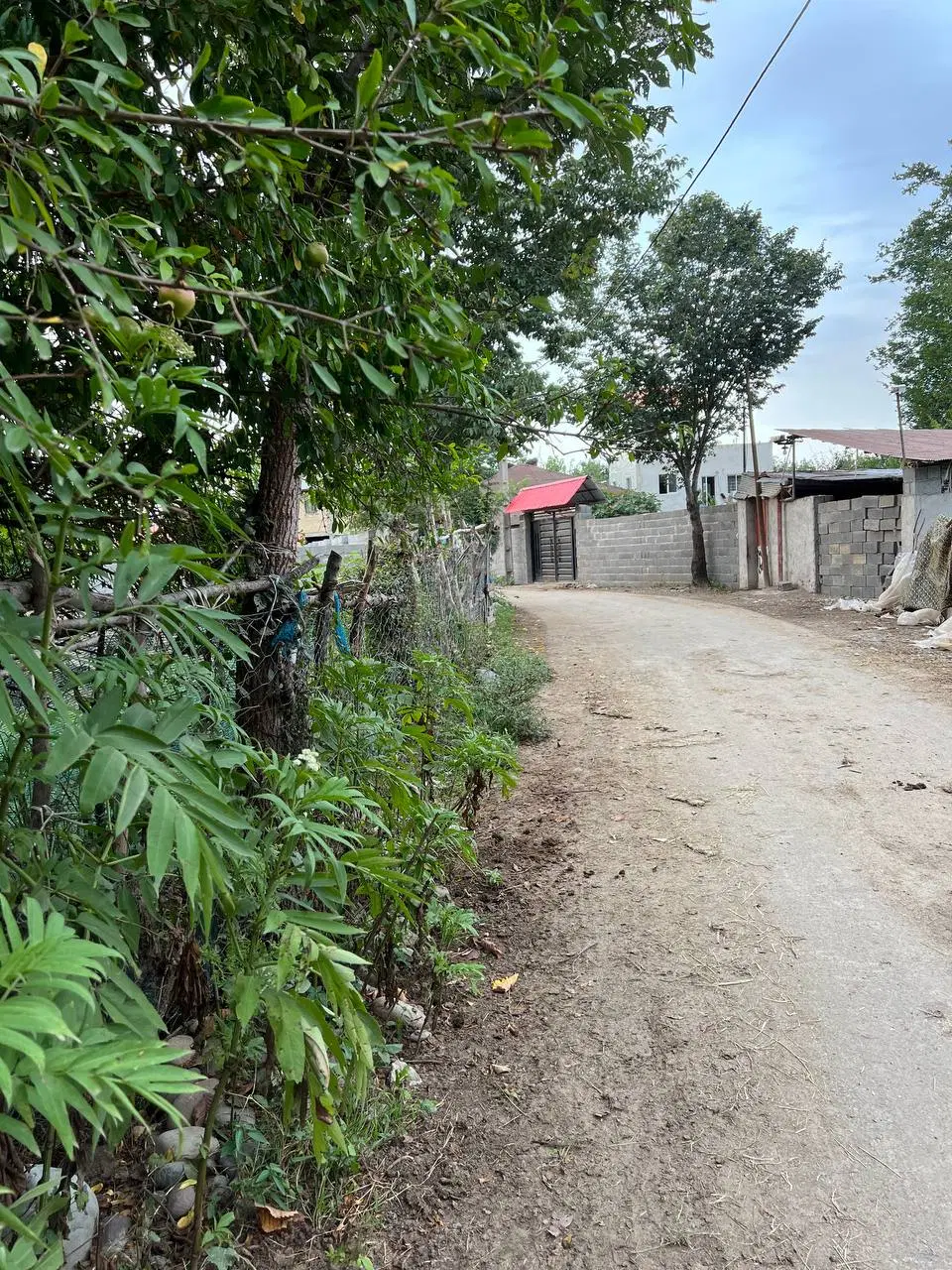 تصویر املاک 107044