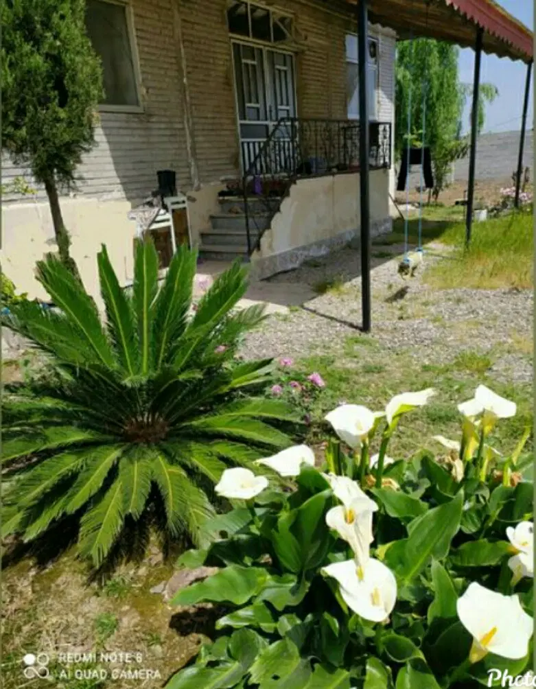 تصویر املاک 55470