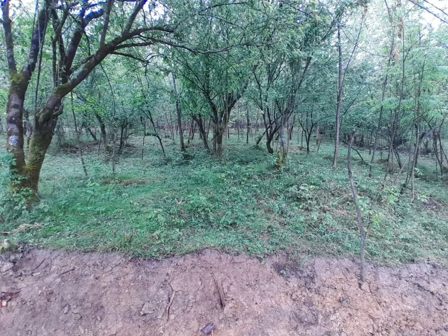 تصویر املاک 108683