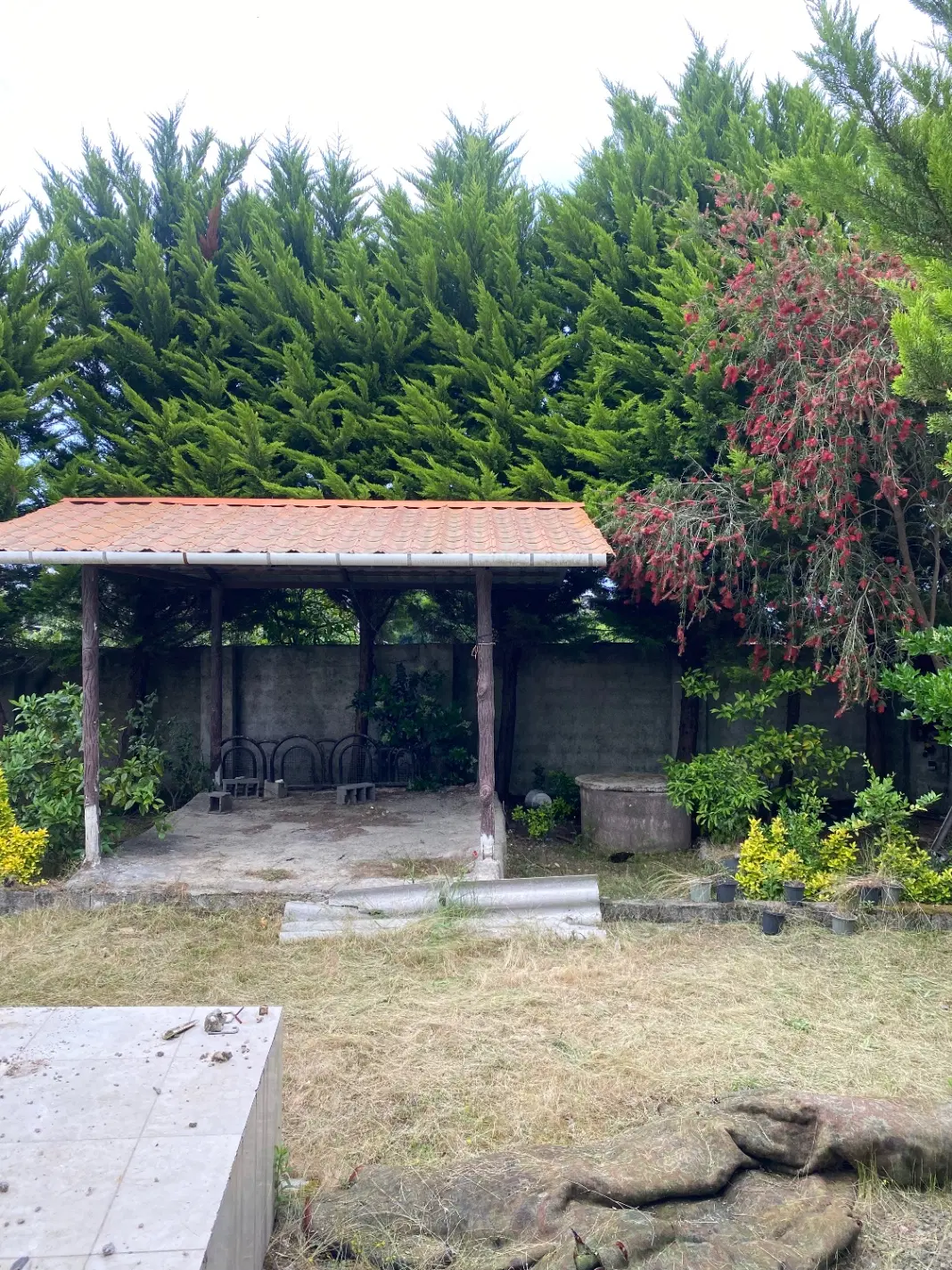 تصویر املاک 138996
