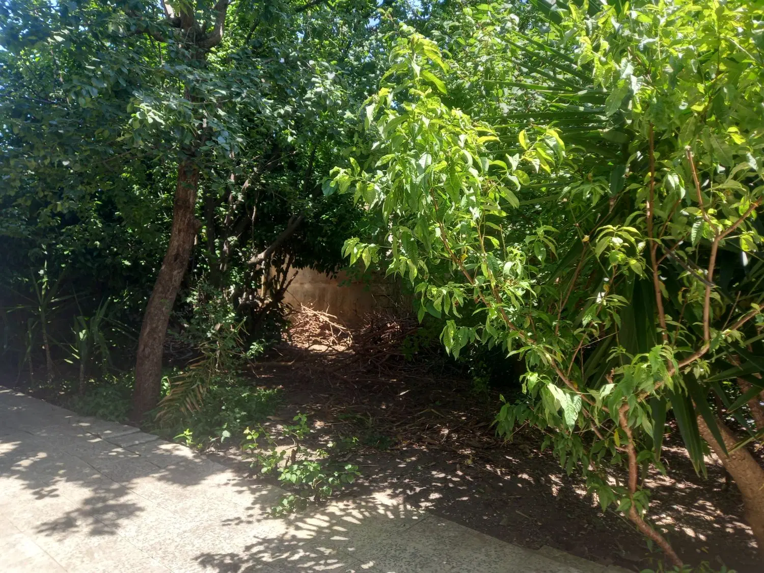 تصویر املاک 136832