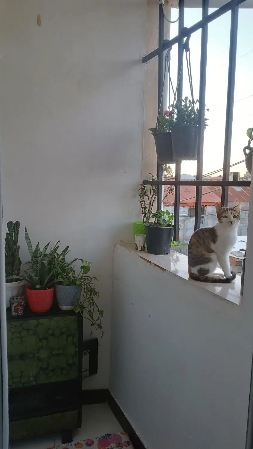 تصویر املاک 56979