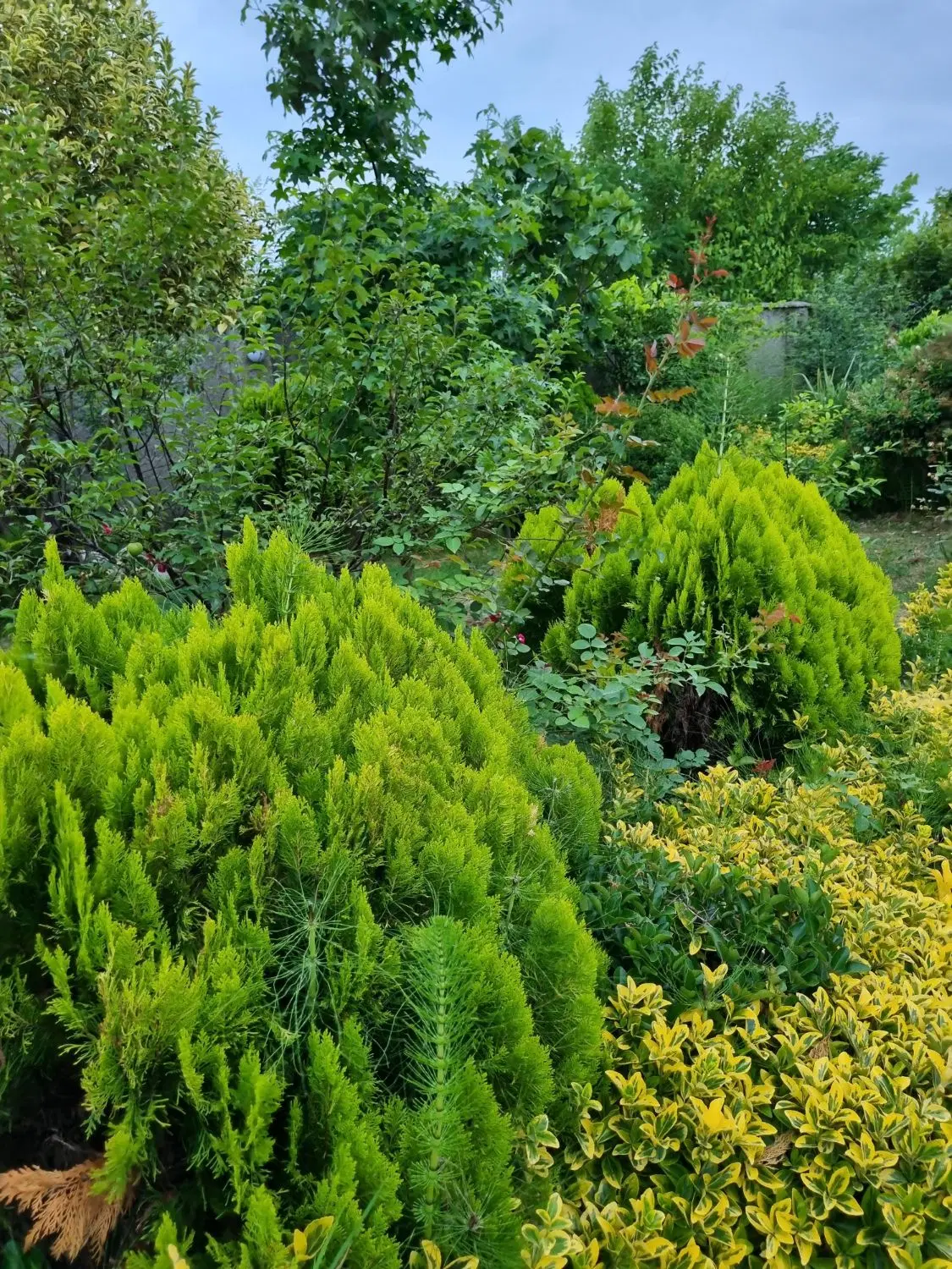تصویر املاک 124247