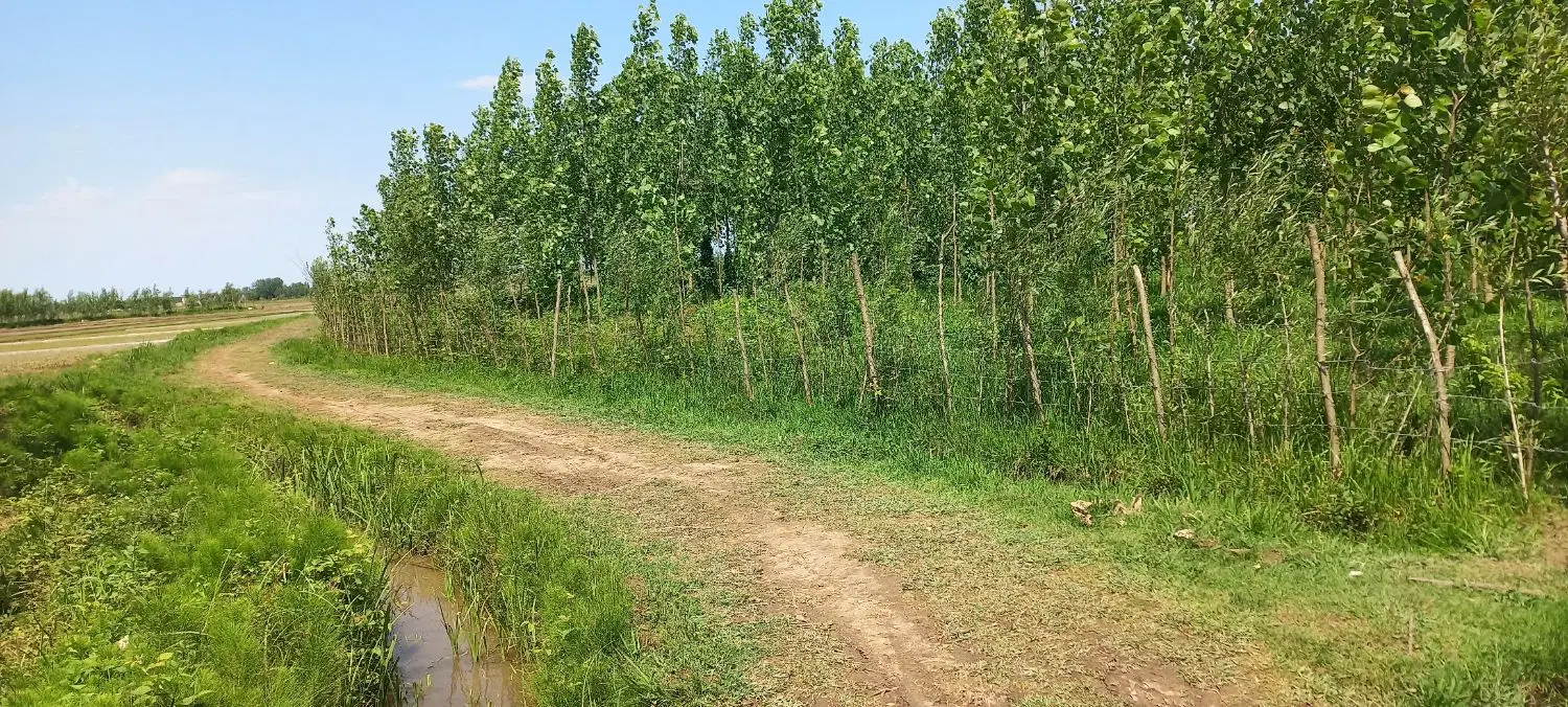 تصویر املاک 136100