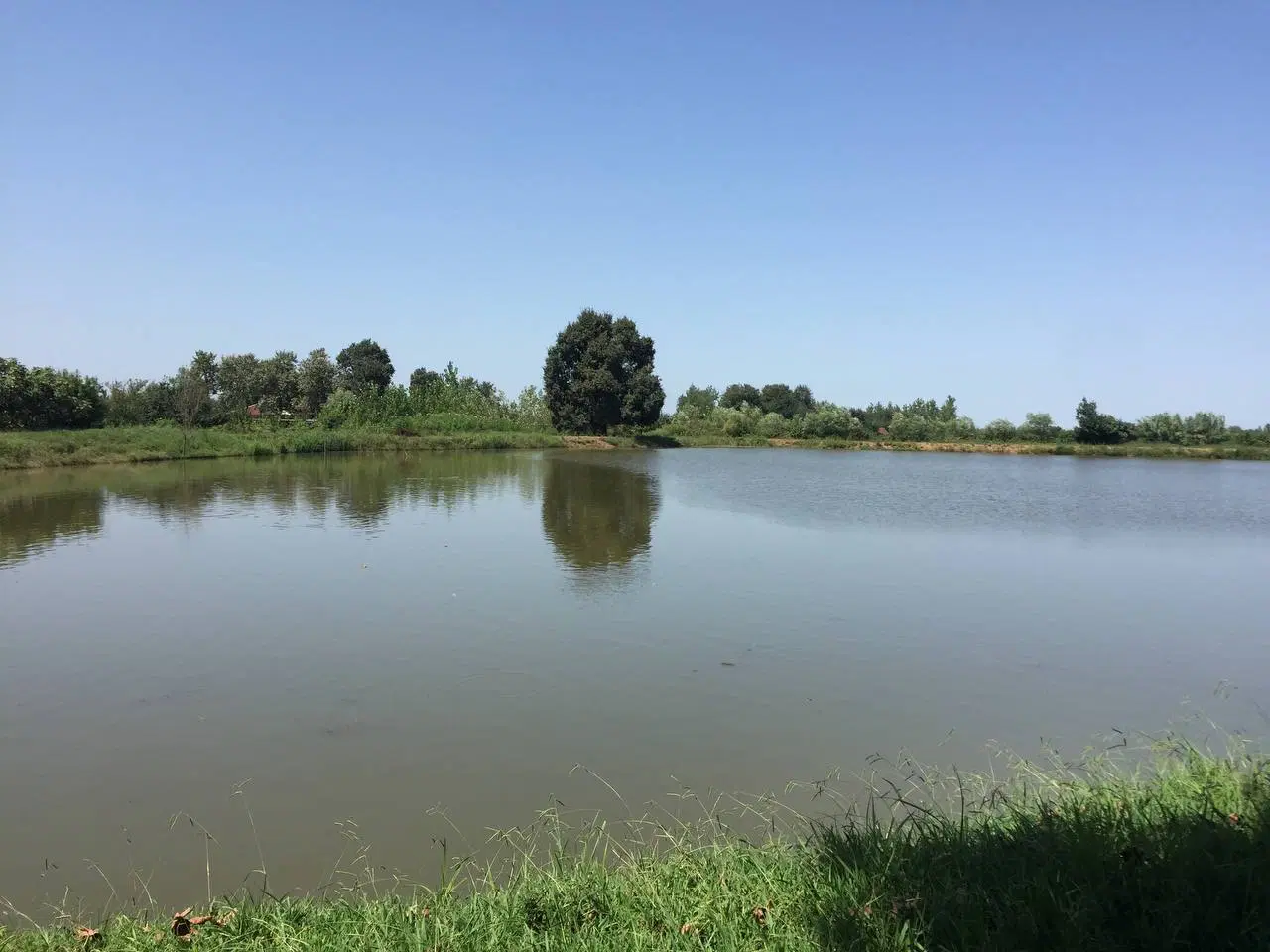 تصویر املاک 81848
