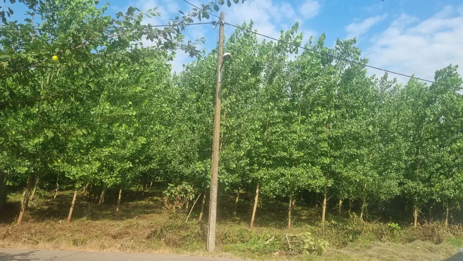 تصویر املاک 88408
