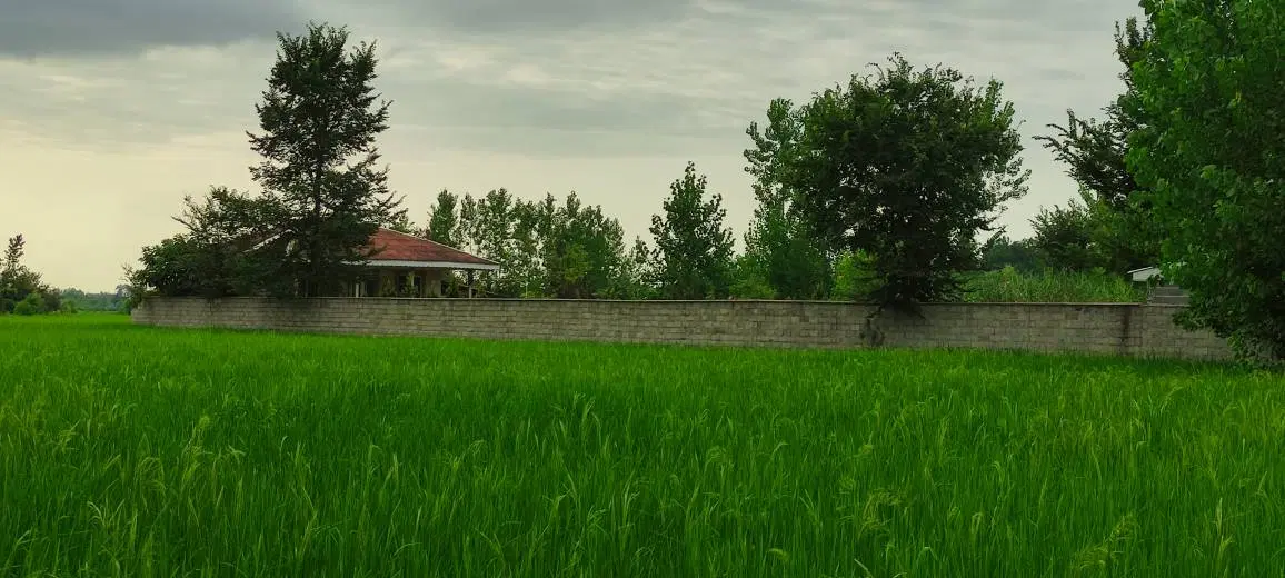 تصویر املاک 80436