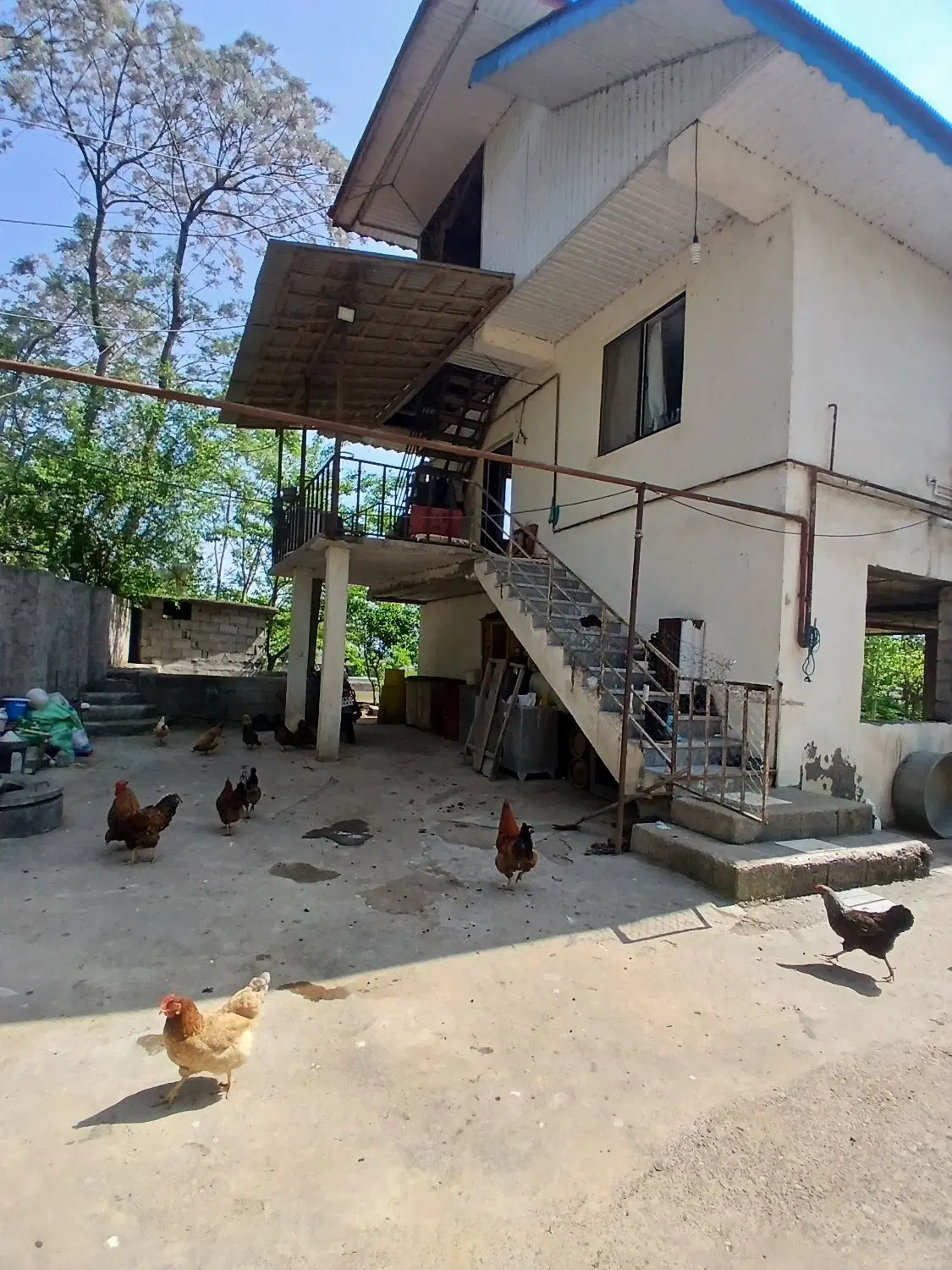 تصویر املاک 131471