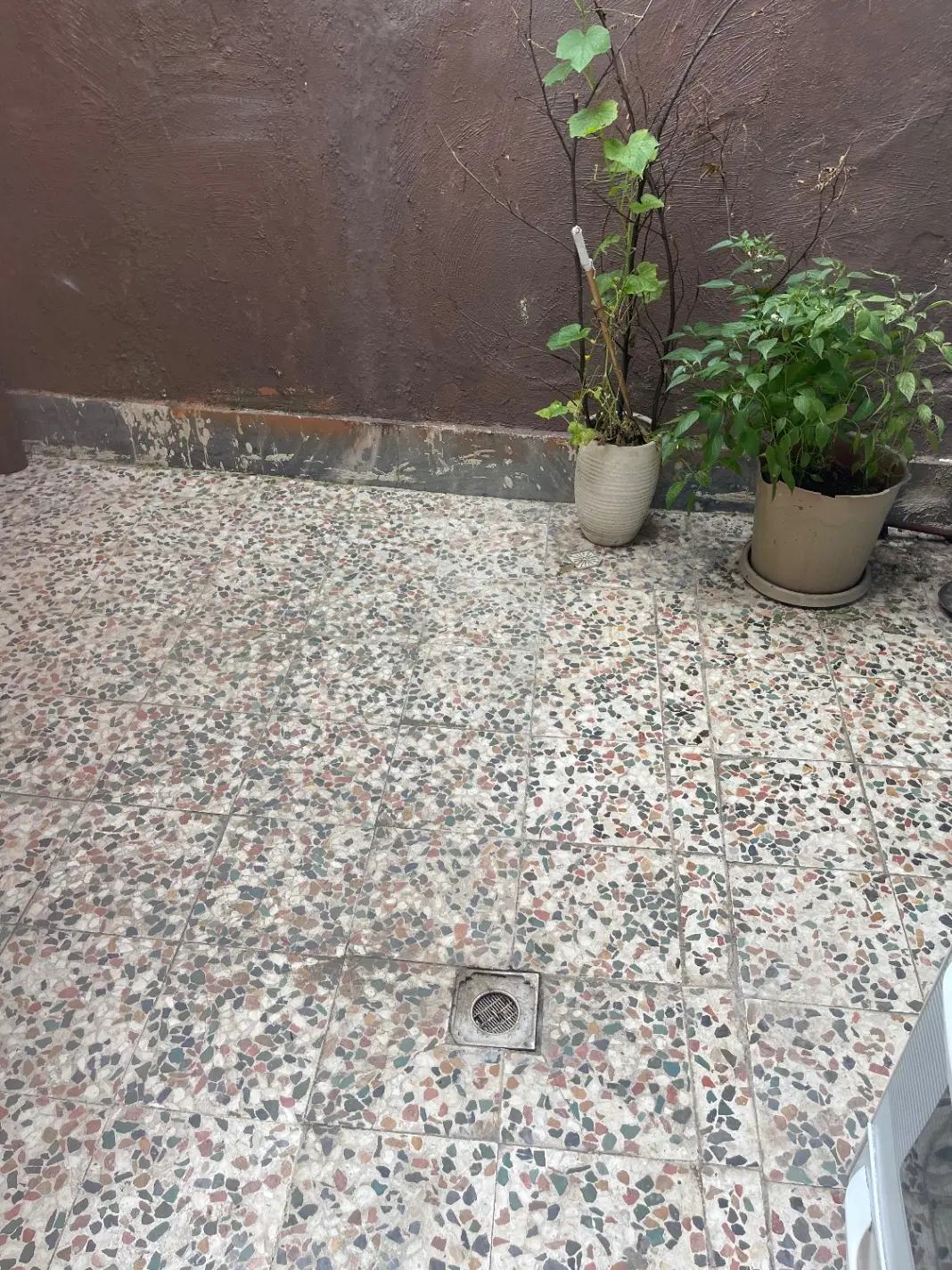تصویر املاک 65629