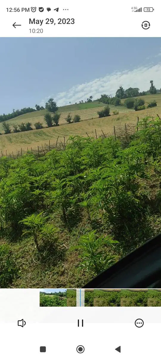 تصویر املاک 144255