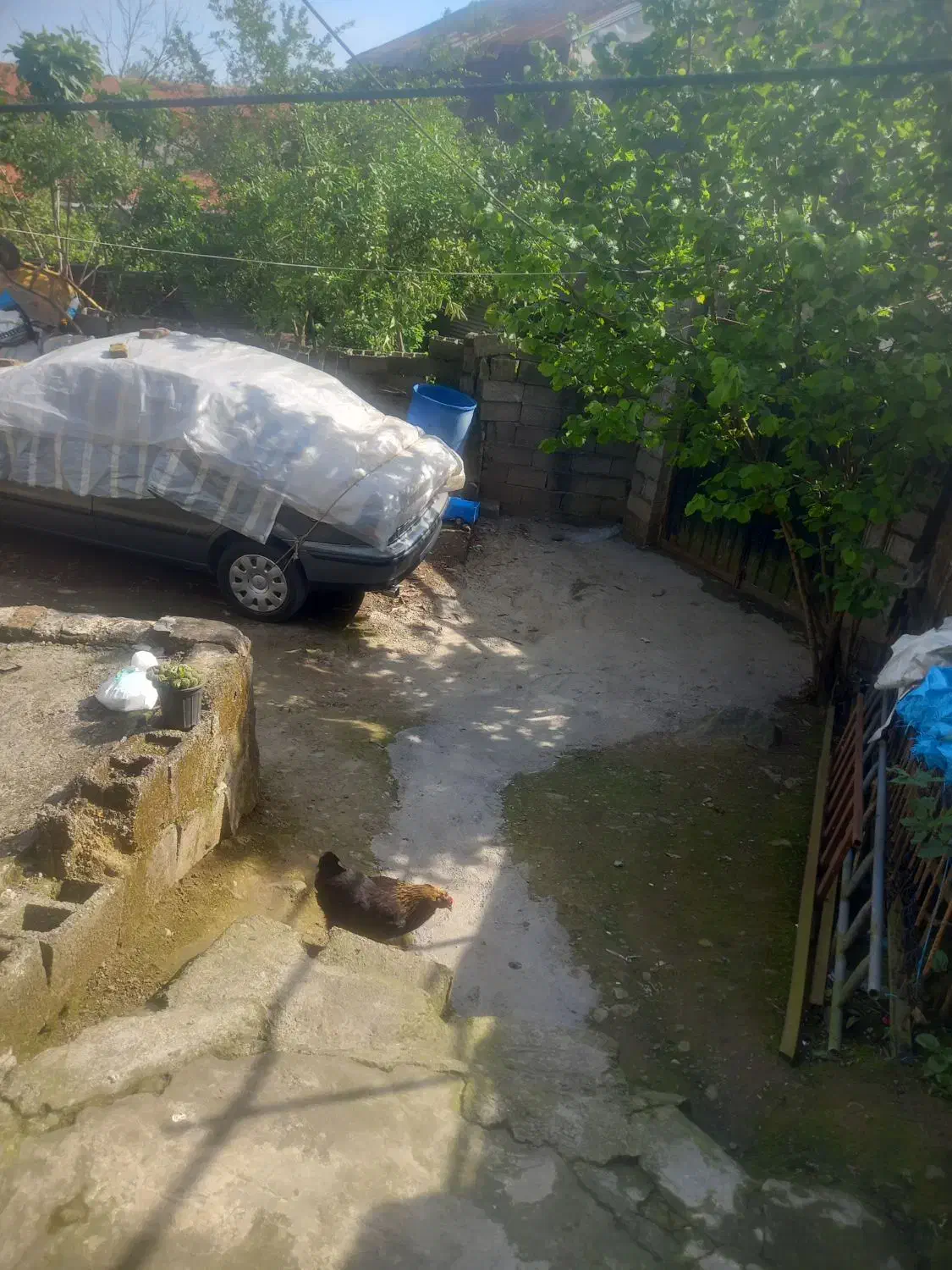 تصویر املاک 36189