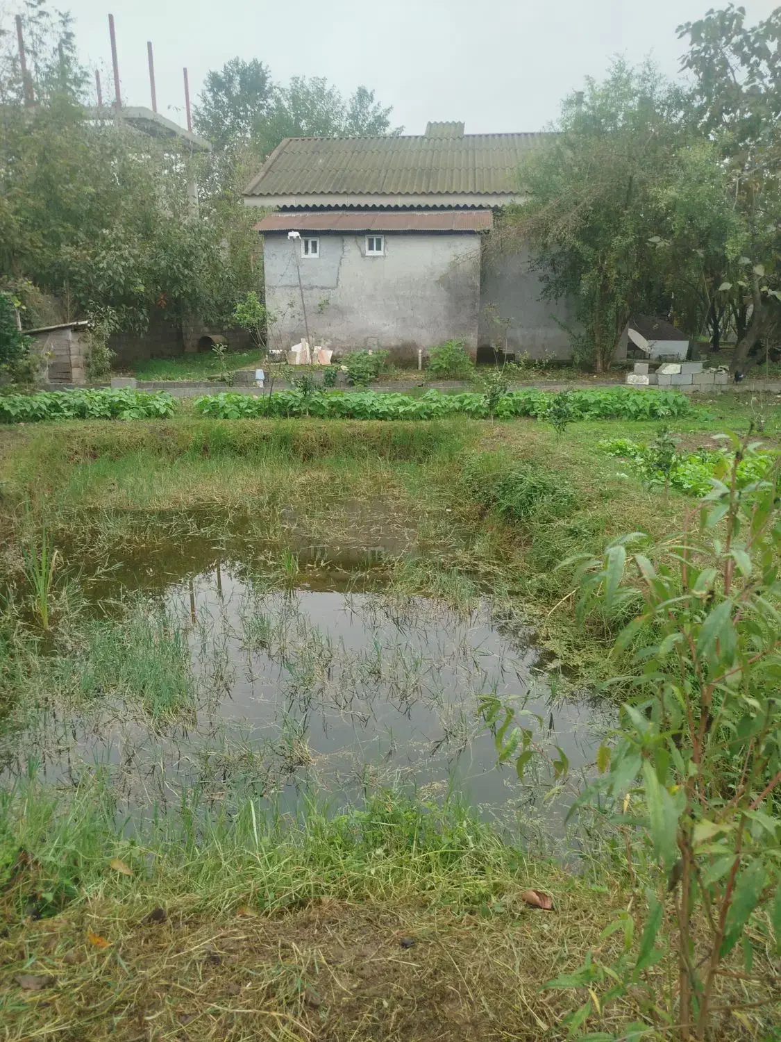 تصویر املاک 8030