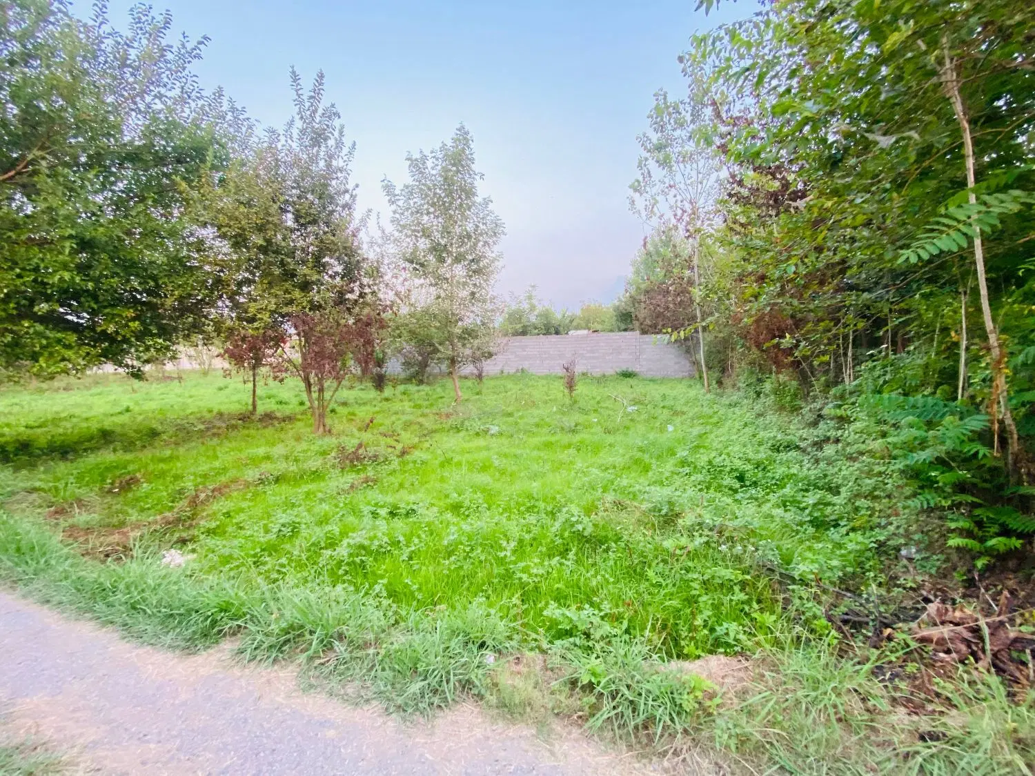 تصویر املاک 99192
