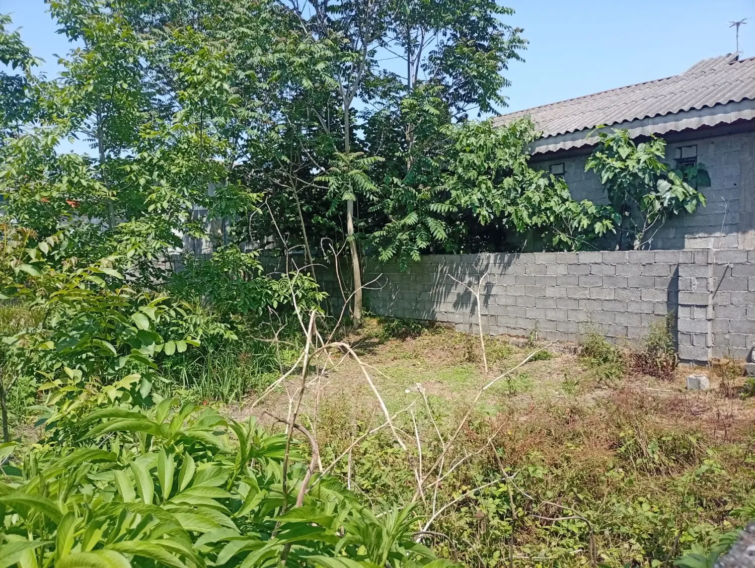 تصویر املاک 44057