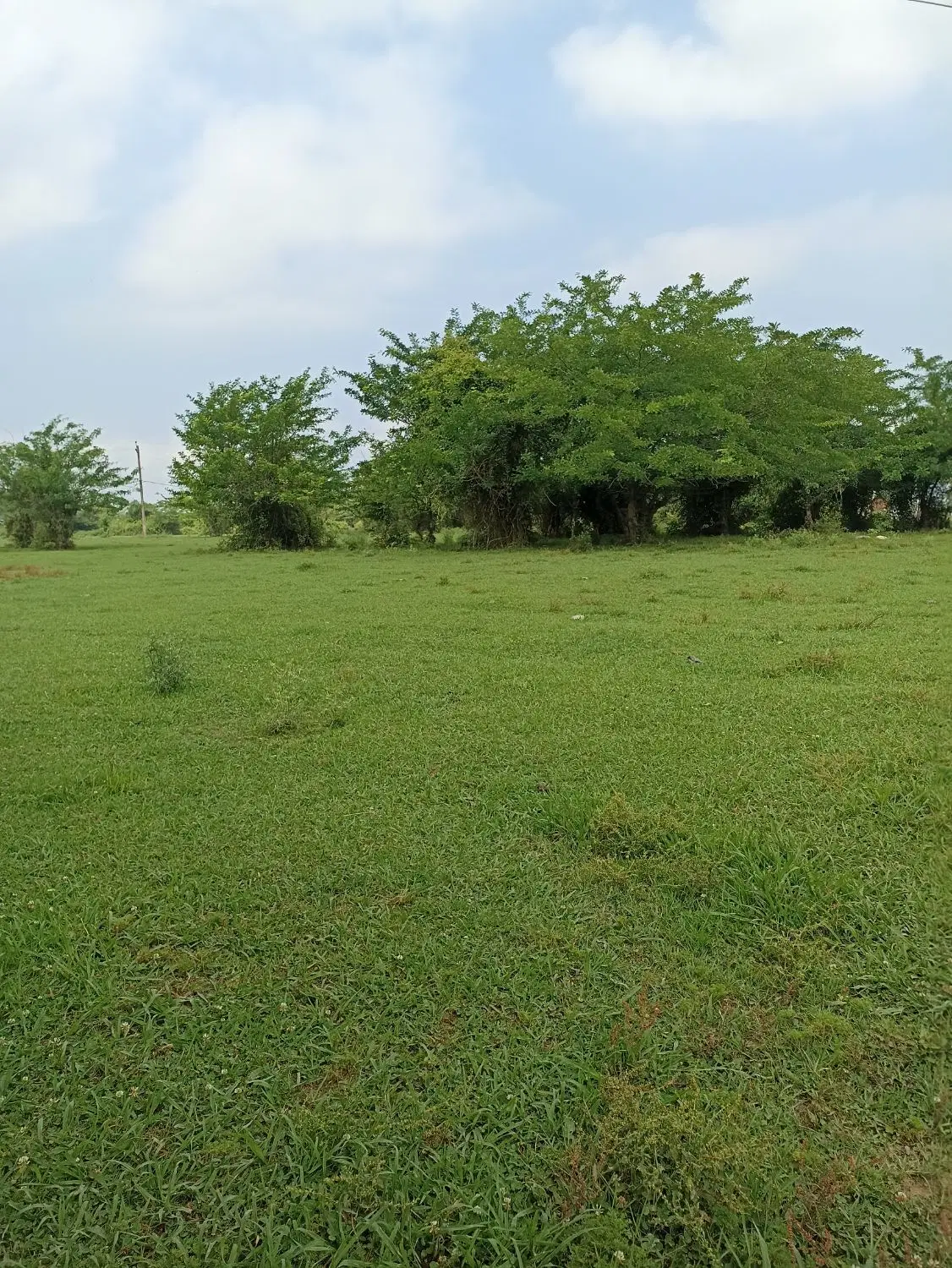 تصویر املاک 88578