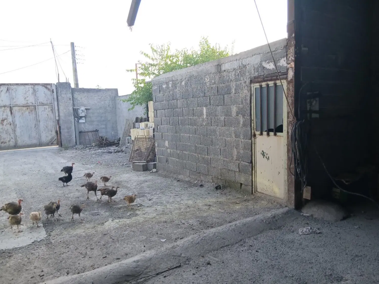 تصویر املاک 103322