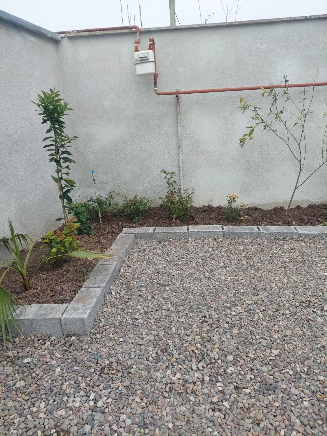 تصویر املاک 65648