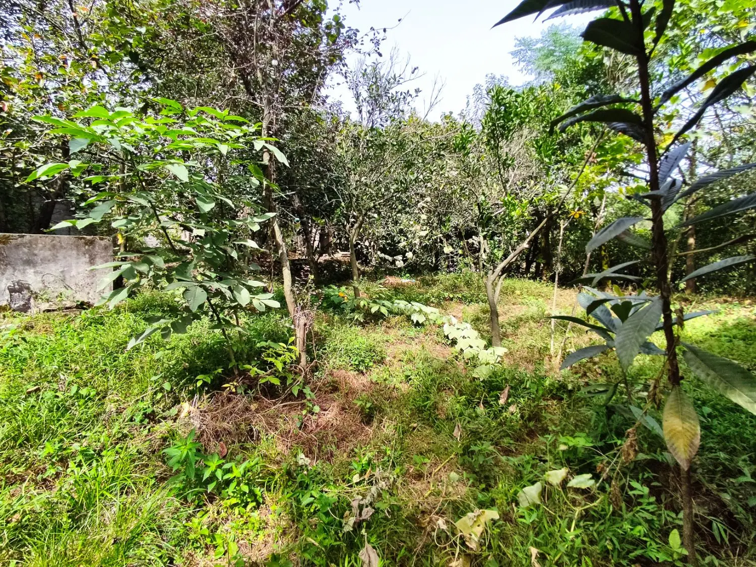 تصویر املاک 116851