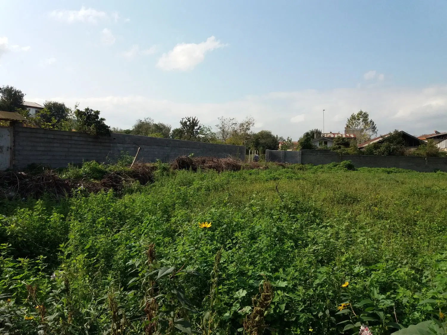 تصویر املاک 127403