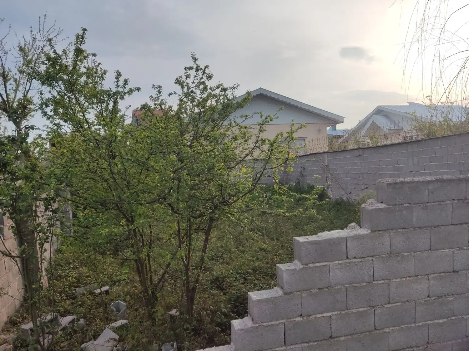 تصویر املاک 55716