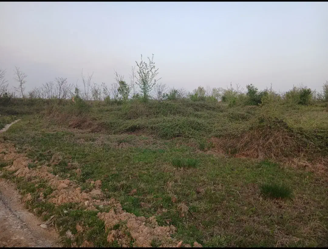 تصویر املاک 12744