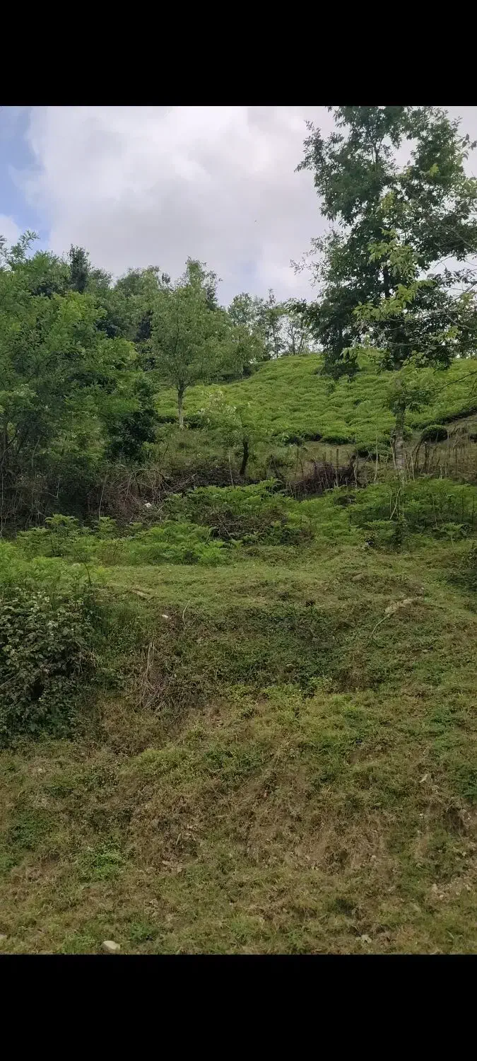 تصویر املاک 38087