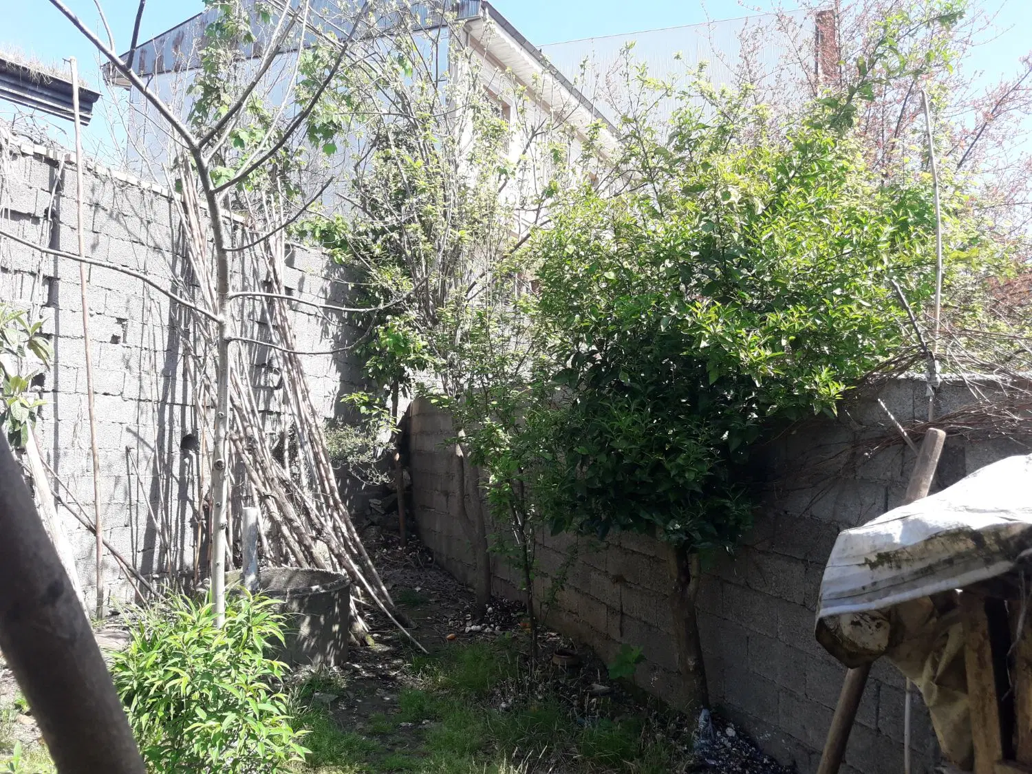 تصویر املاک 57442