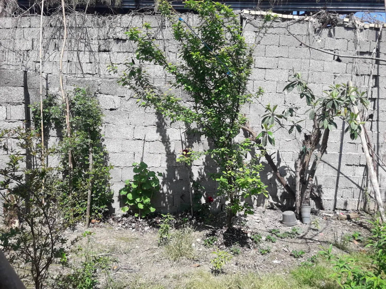 تصویر املاک 57440