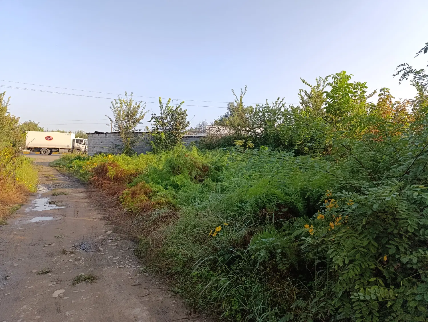 تصویر املاک 62927