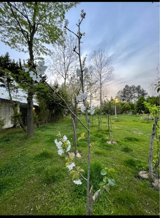 تصویر املاک 20839