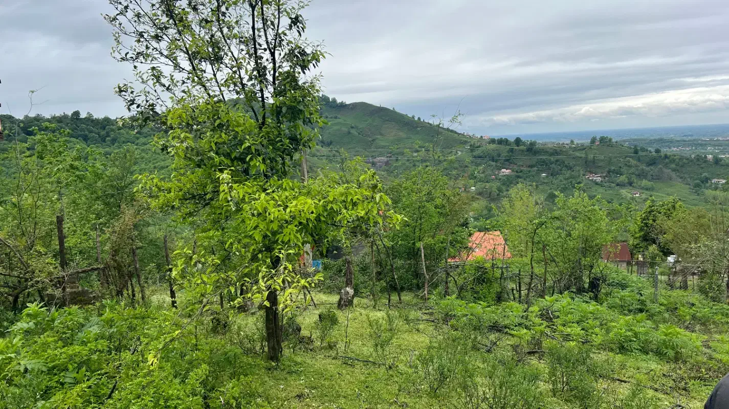 تصویر املاک 38705