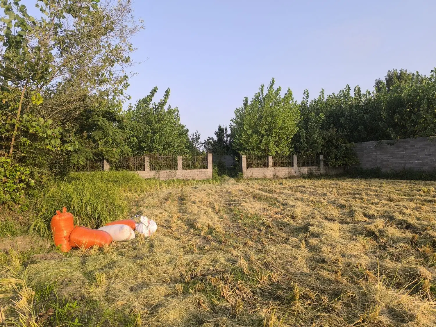 تصویر املاک 134497