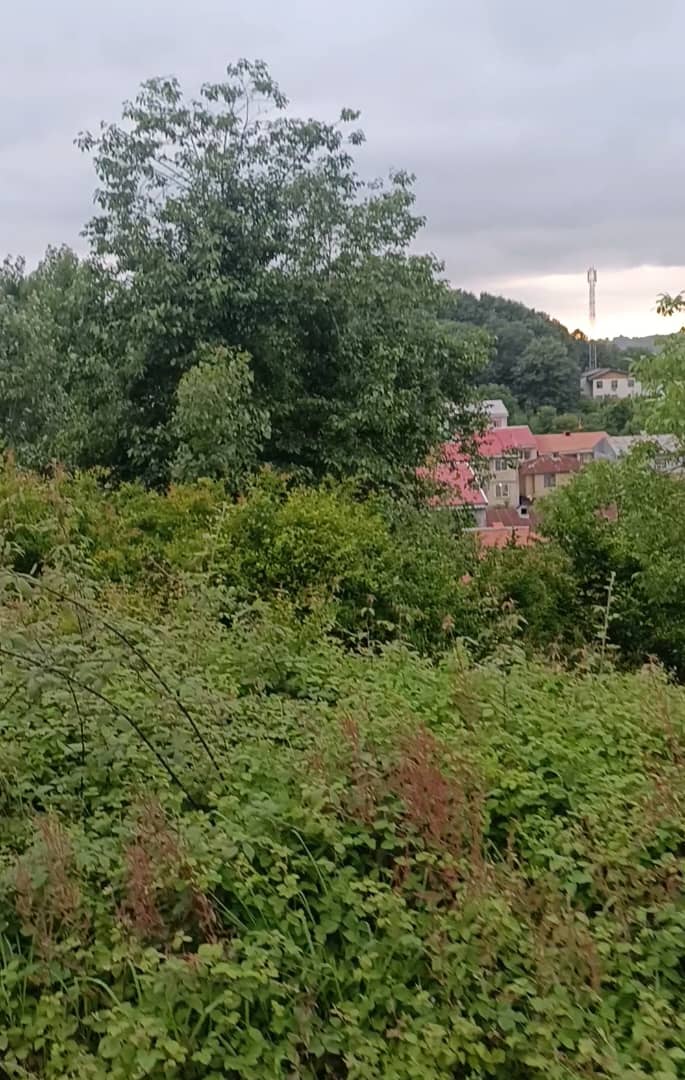 تصویر املاک 1802