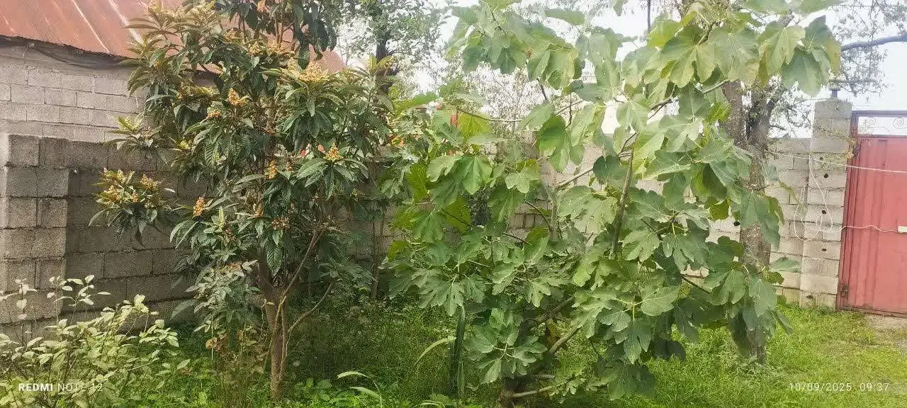 تصویر املاک 9090