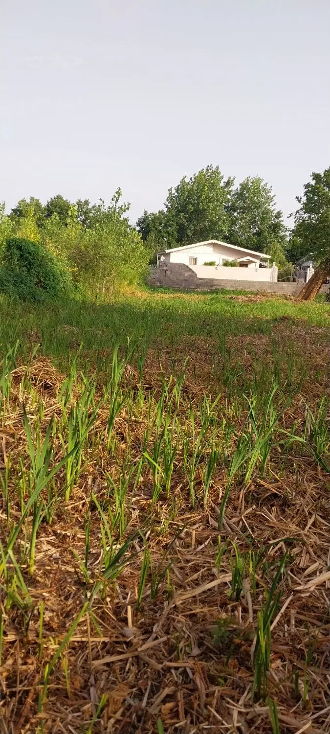 تصویر املاک 80775