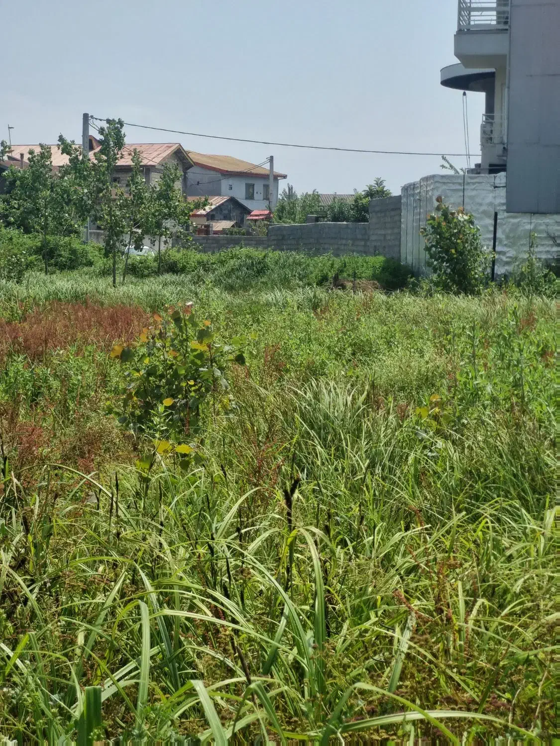 تصویر املاک 36090