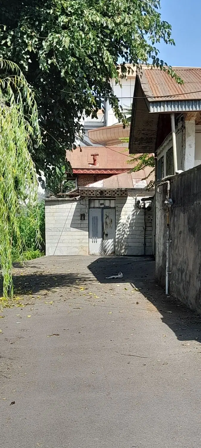 تصویر املاک 132318